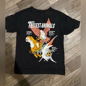 Boys size 5 Tshirt Bundle